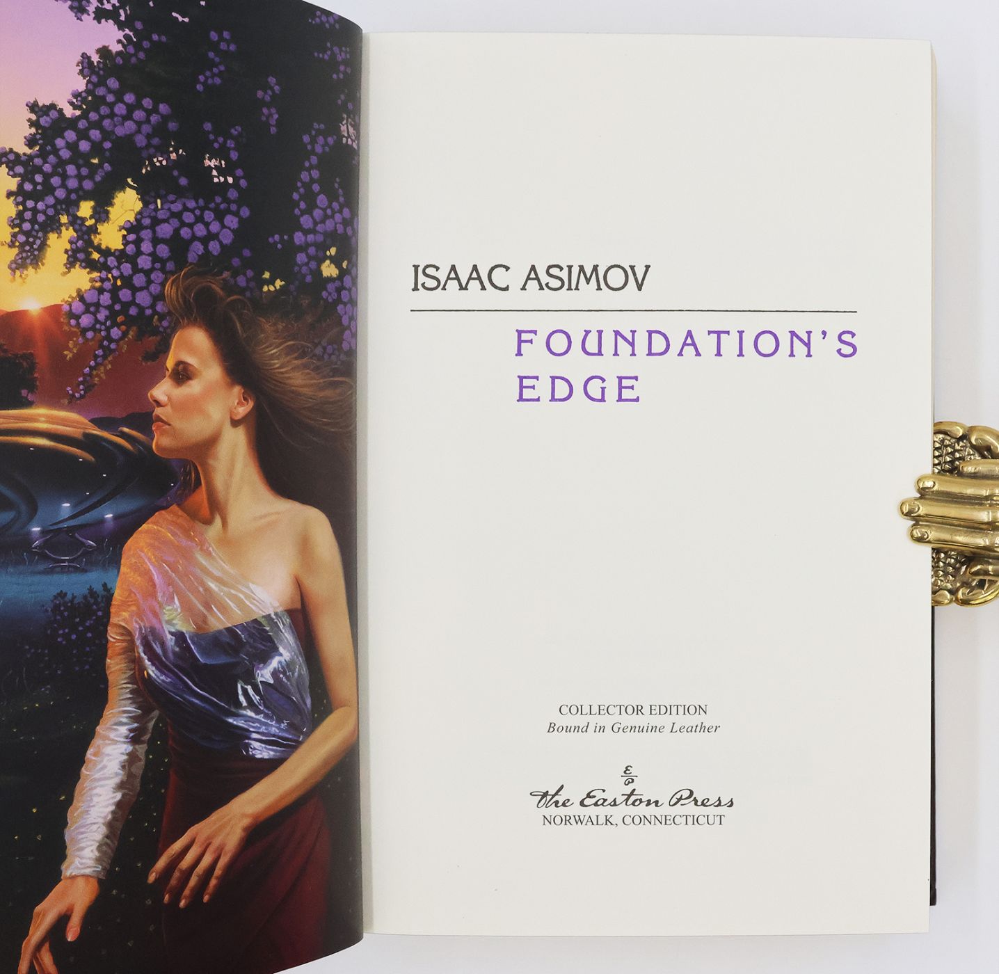 FOUNDATION'S EDGE -  image 4