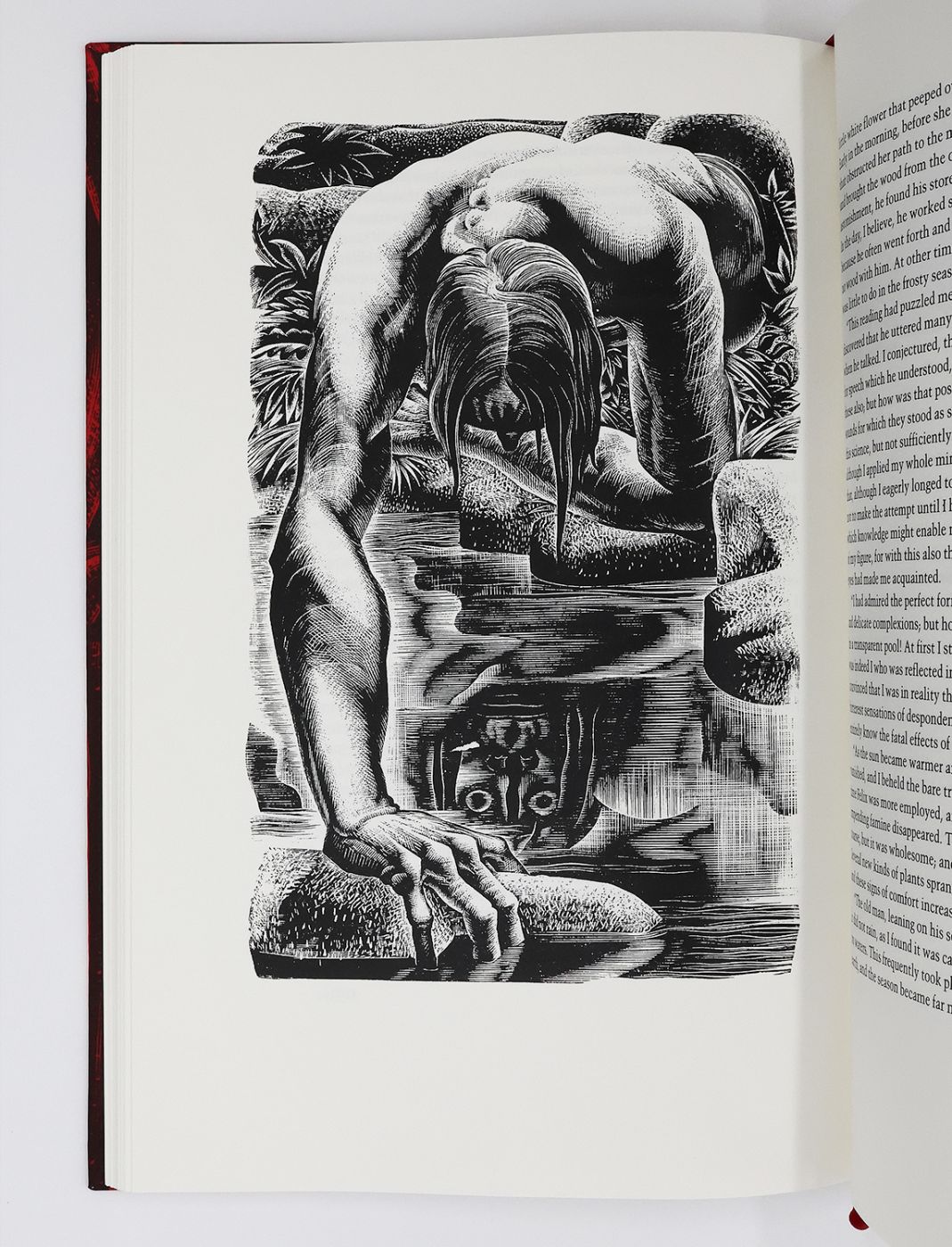 FRANKENSTEIN: OR, THE MODERN PROMETHEUS. -  image 7