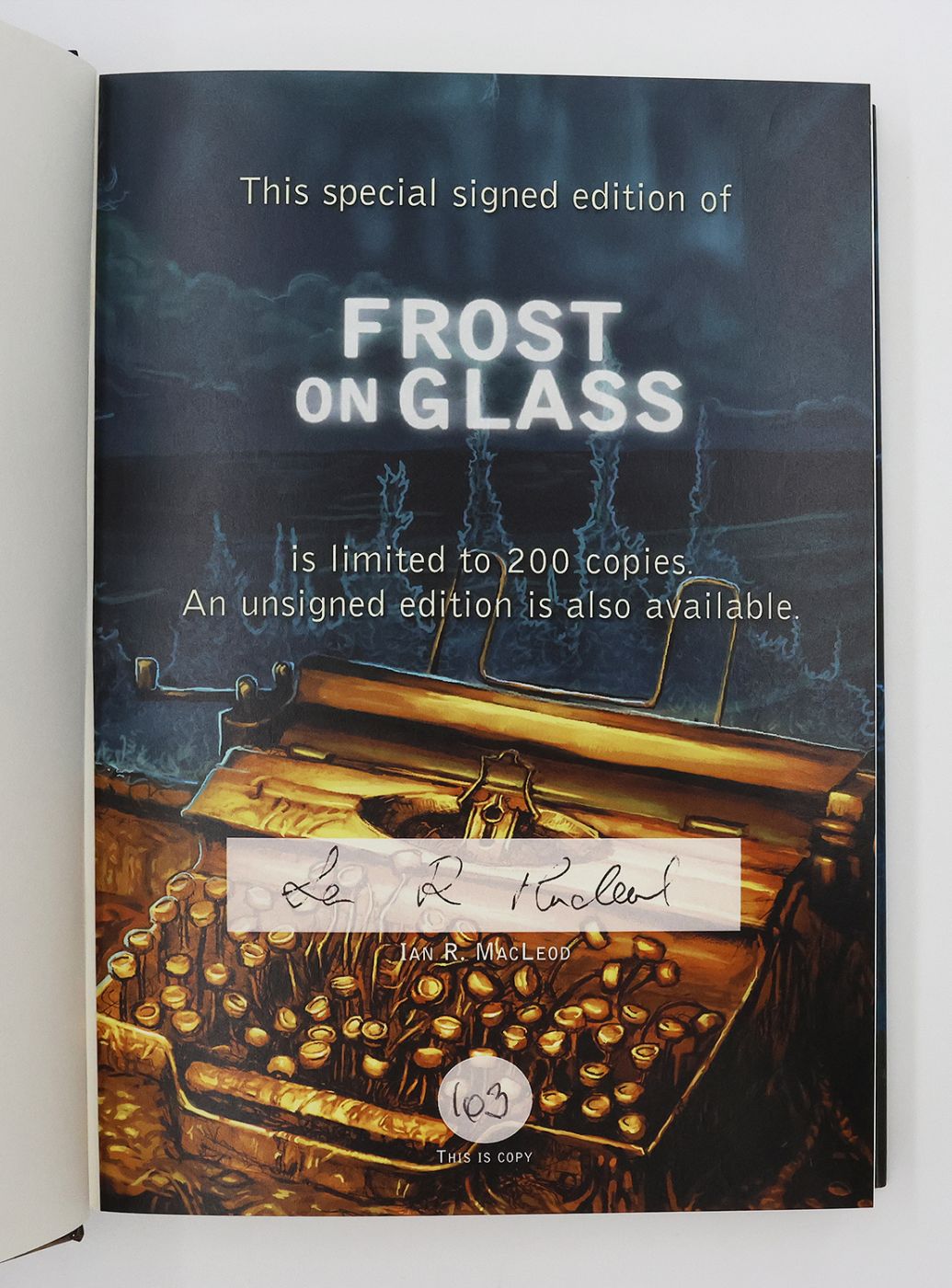 FROST ON GLASS -  image 3