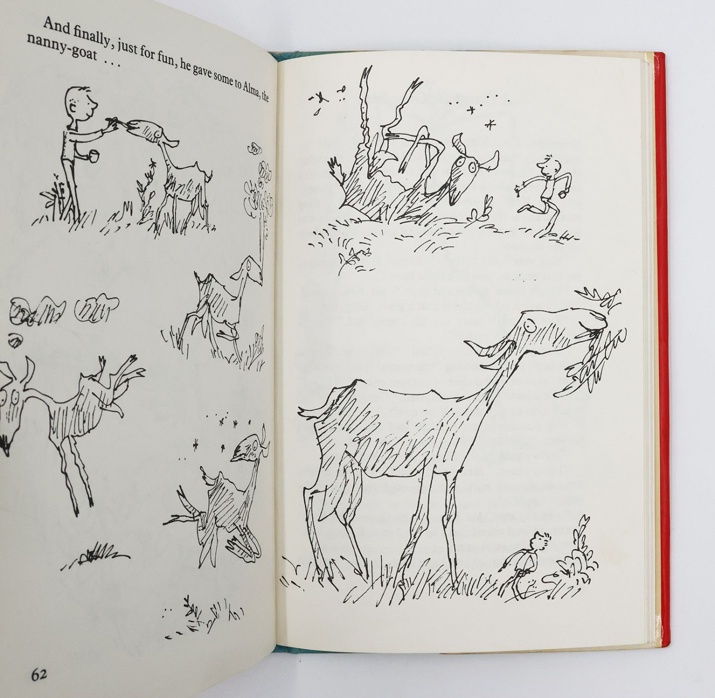 GEORGE'S MARVELLOUS MEDICINE -  image 5