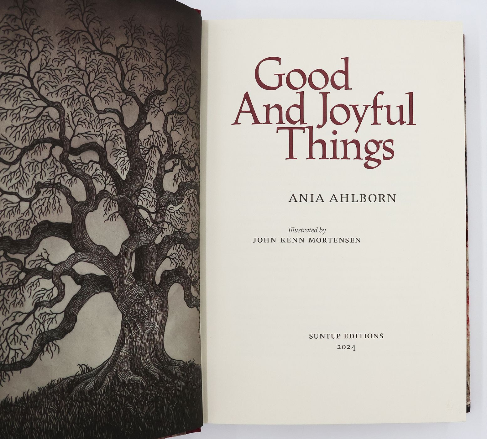 GOOD AND JOYFUL THINGS -  image 4