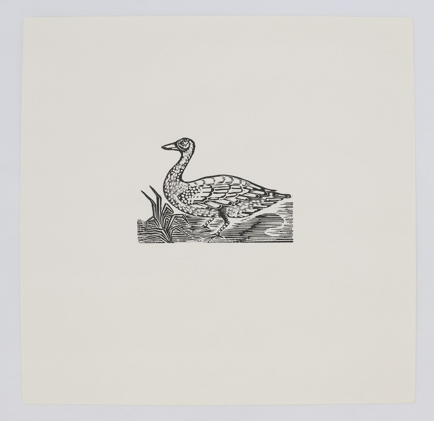 GOOSEY GOOSEY GANDER; THE DOVE SAYS COO; UNICORN. -  image 2