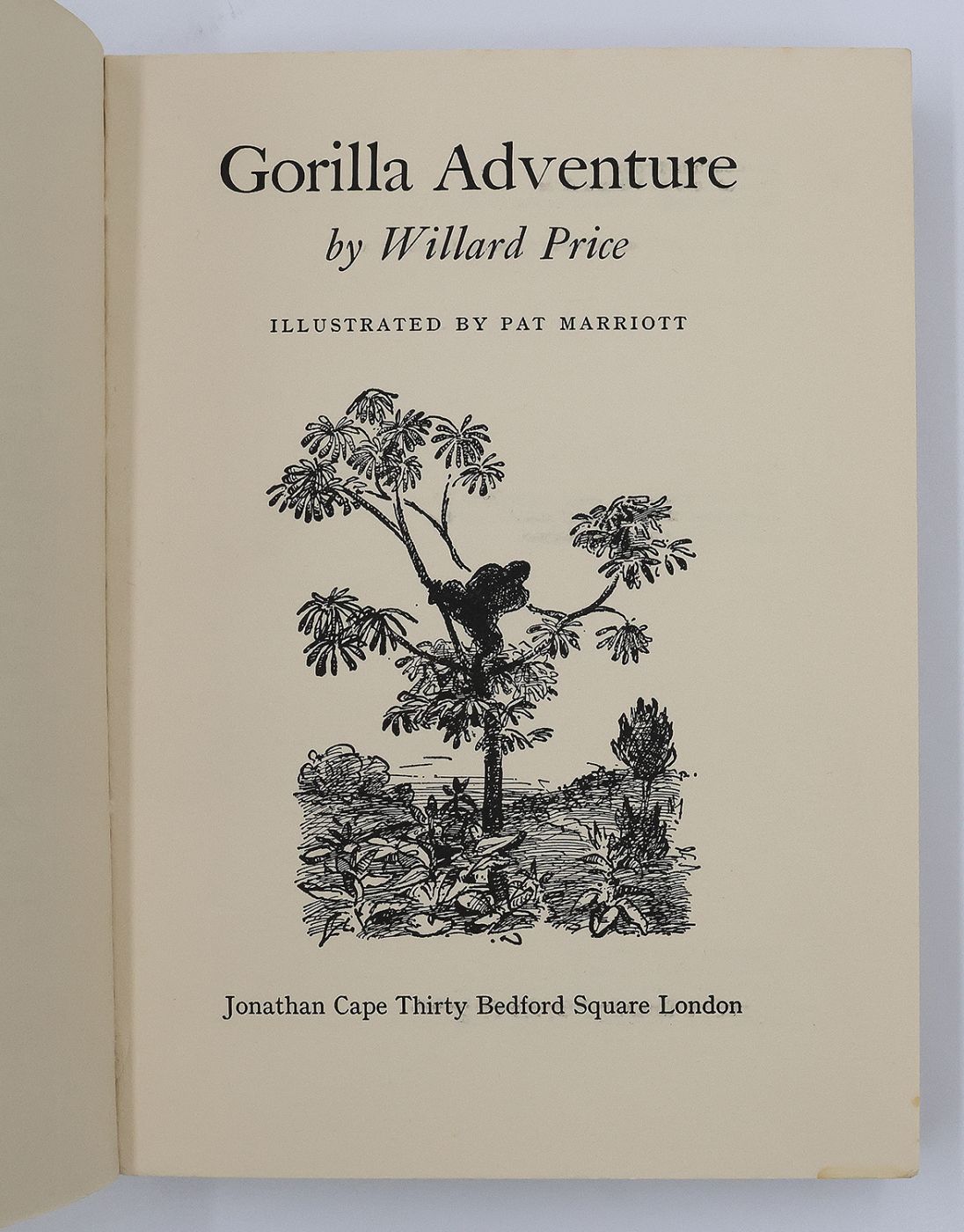 GORILLA ADVENTURE -  image 3