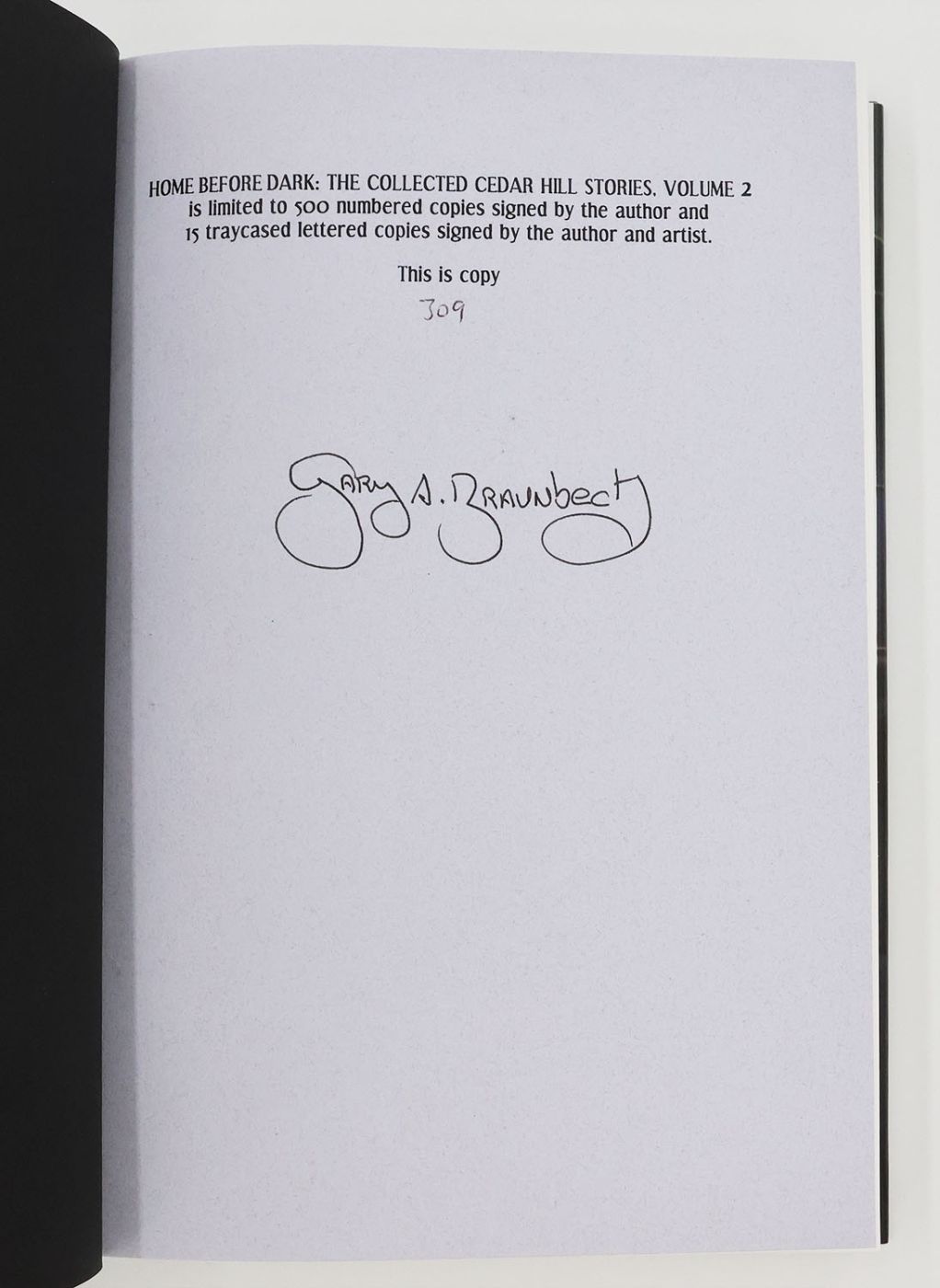 HOME BEFORE DARK -  image 2