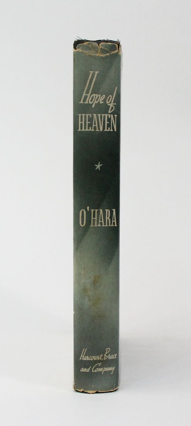 HOPE OF HEAVEN -  image 2