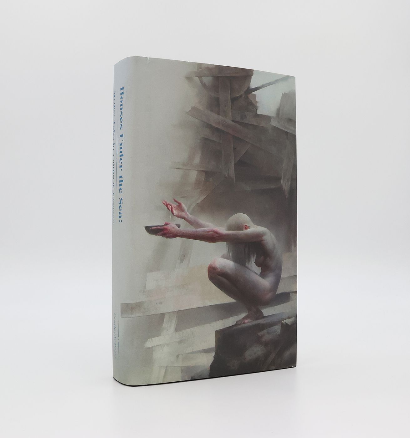 HOUSES UNDER THE SEA: -  image 2