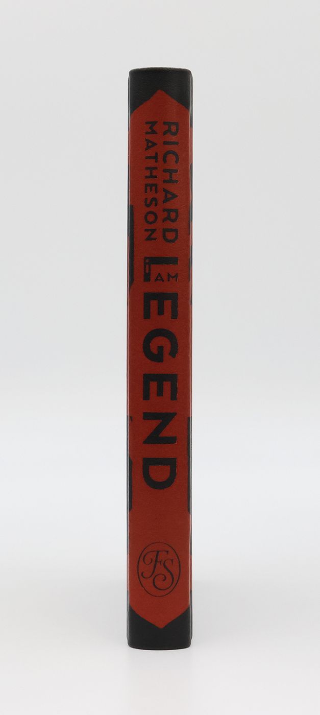 I AM LEGEND -  image 2