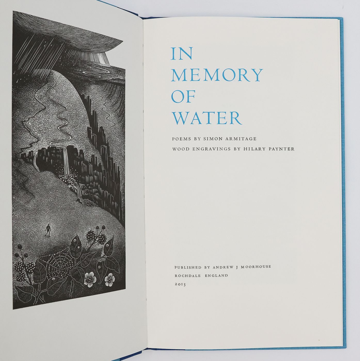 IN MEMORY OF WATER -  image 2