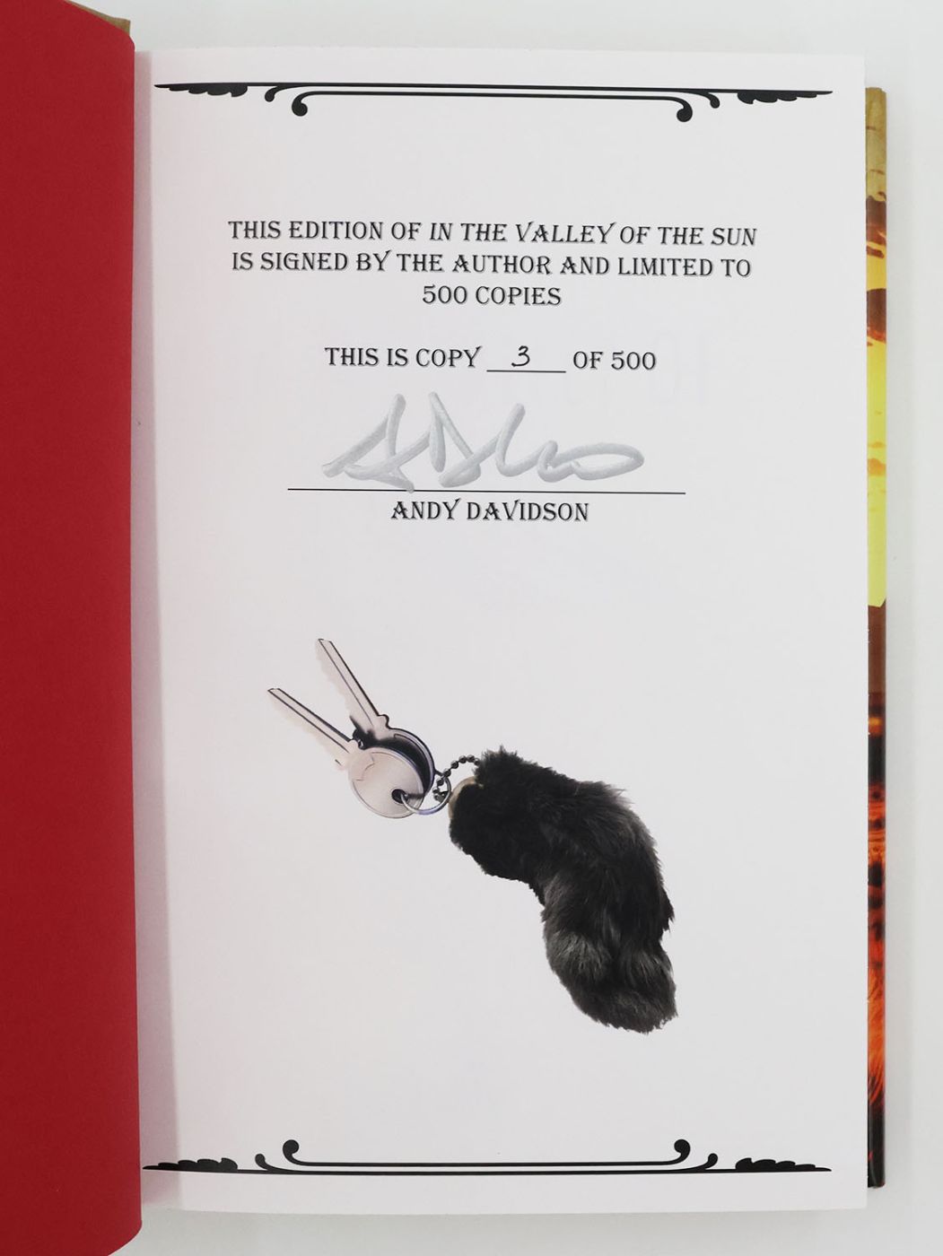 IN THE VALLEY OF THE SUN -  image 2