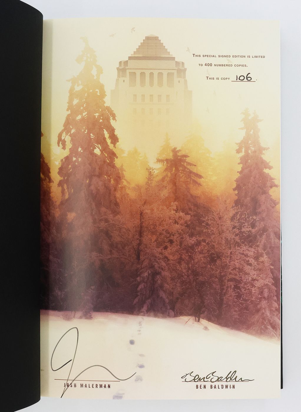 INSPECTION -  image 2