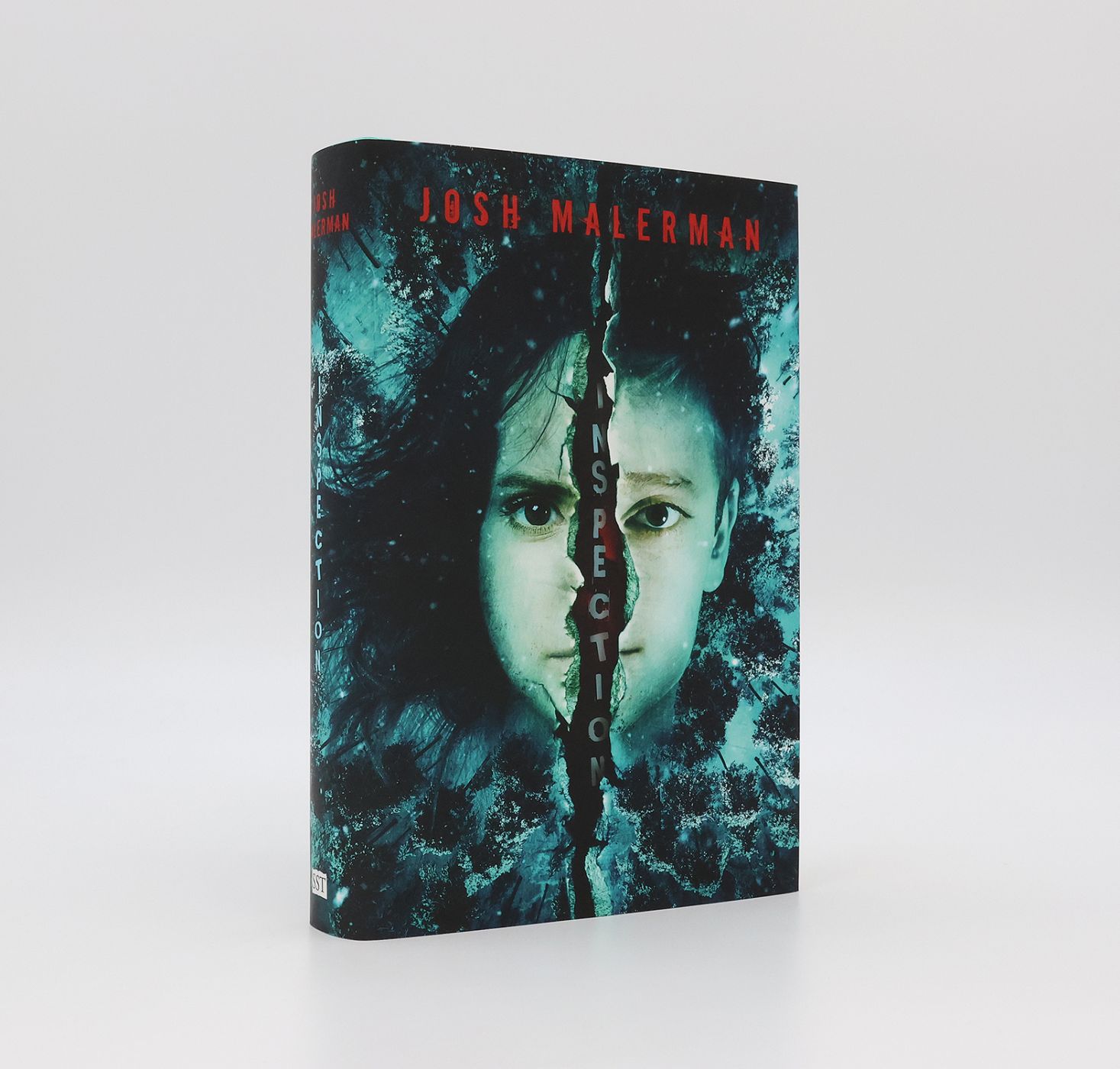 INSPECTION -  image 1