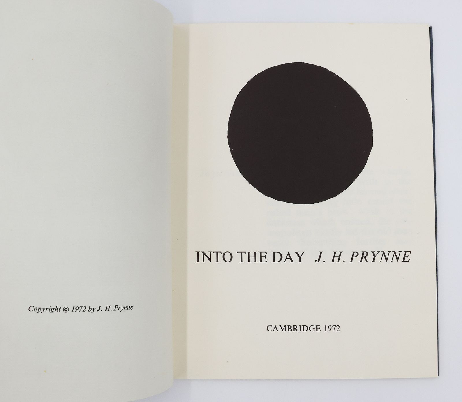 INTO THE DAY -  image 3