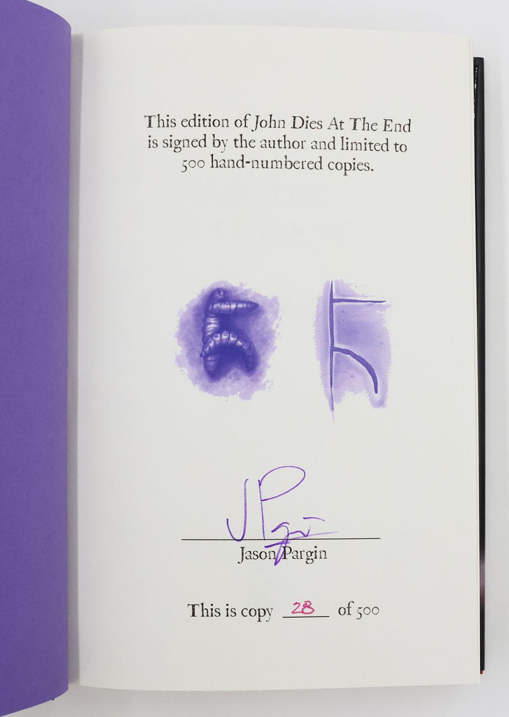 JOHN DIES AT THE END -  image 2