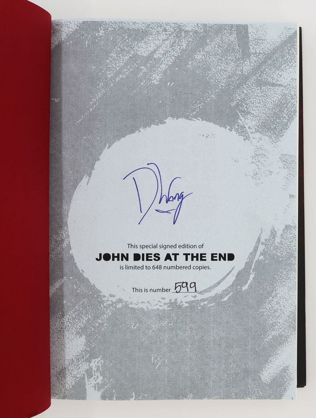 JOHN DIES AT THE END -  image 2