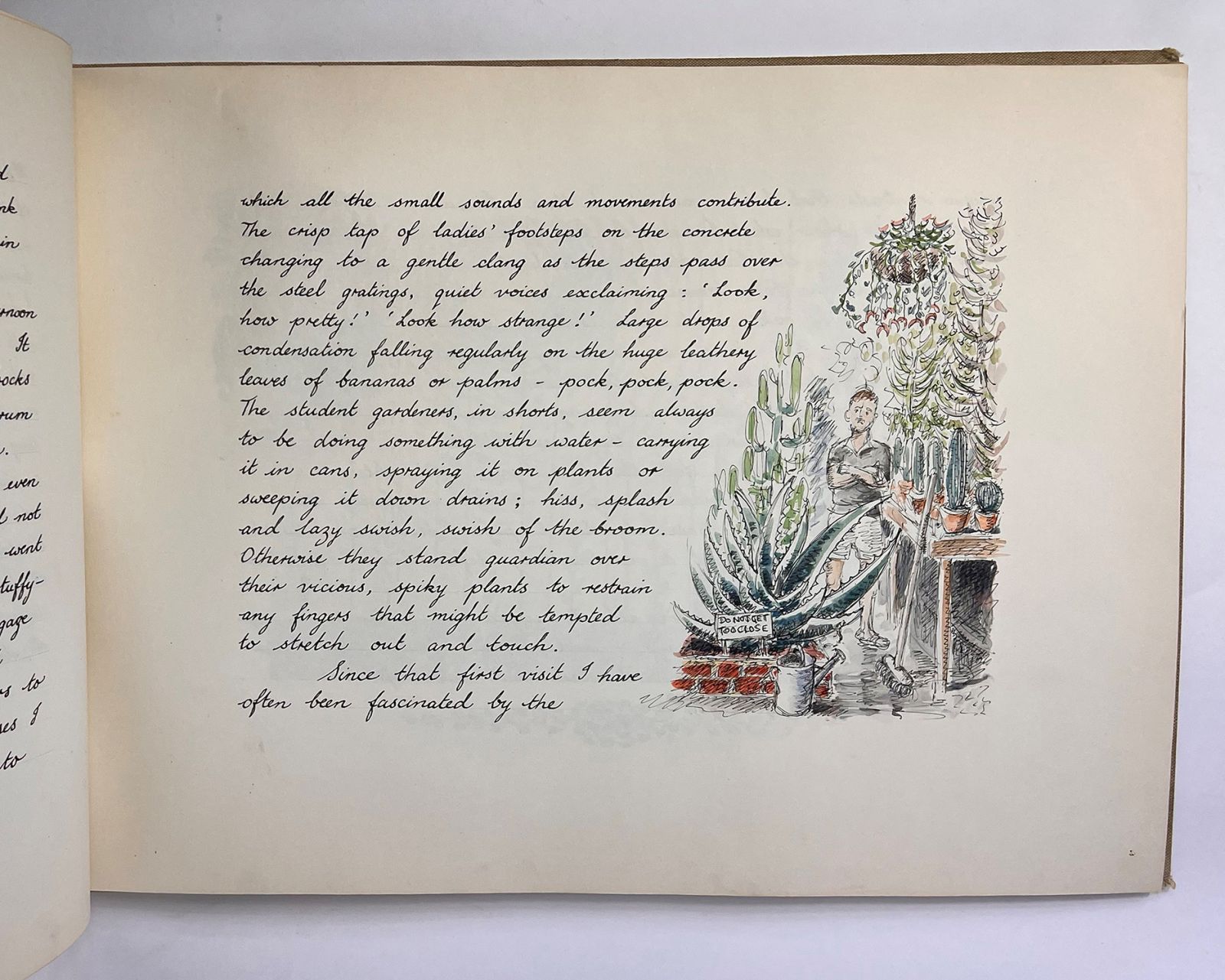 KEW GARDENS: A STUDY [ORIGINAL ILLUSTRATED MANUSCRIPT] -  image 4