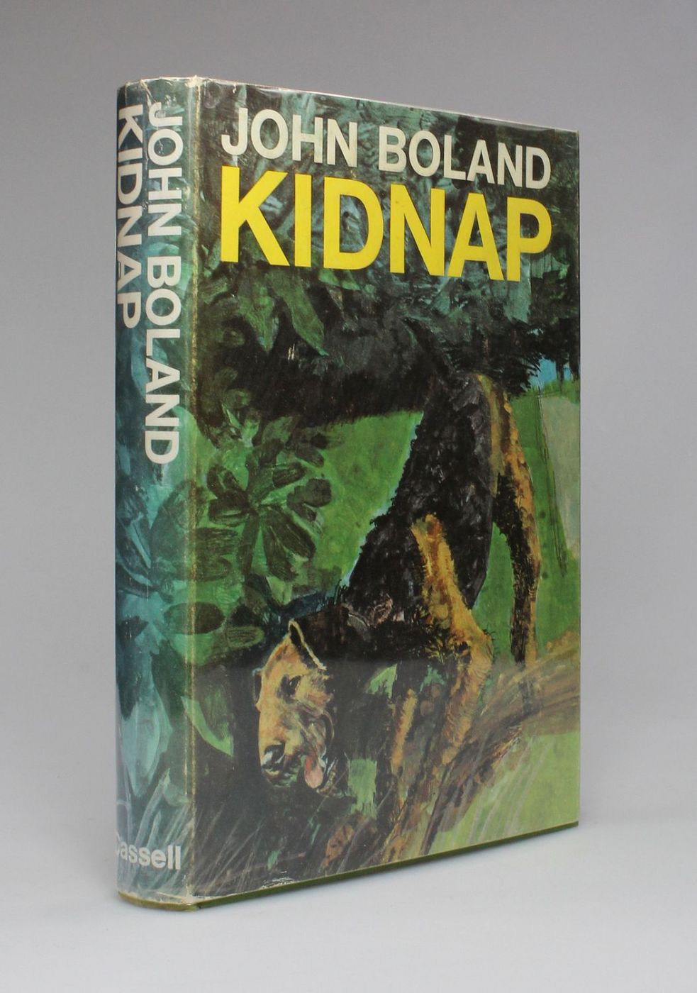 KIDNAP -  image 1