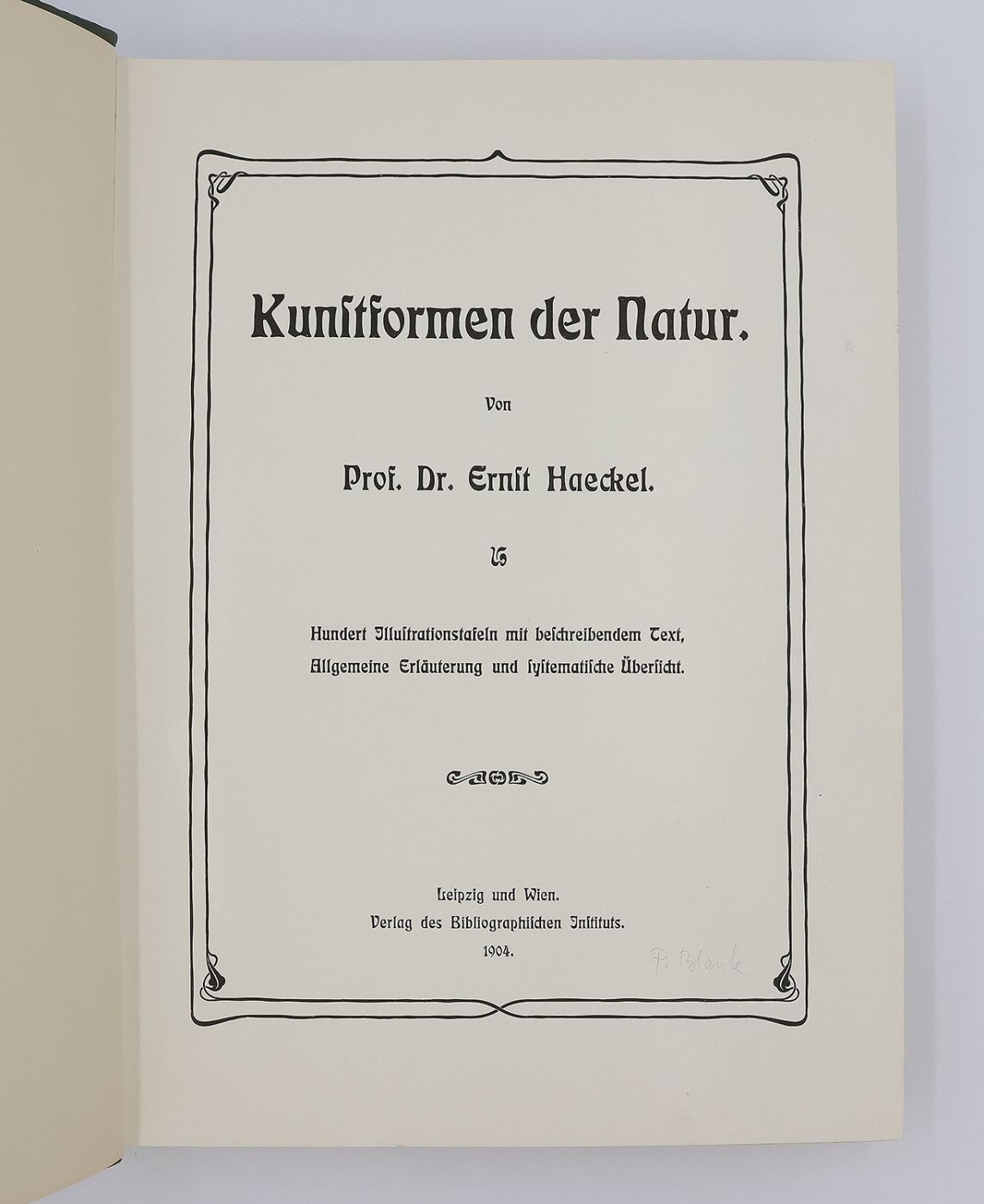 KUNSTFORMEN DER NATUR [ART FORMS IN NATURE] -  image 5
