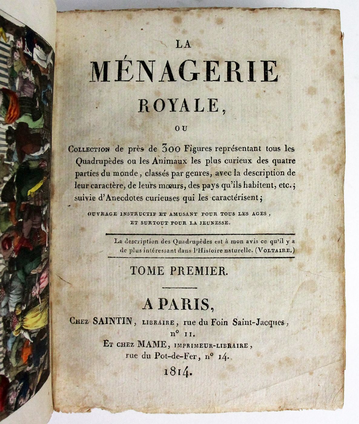 LA MNAGERIE ROYALE, -  image 6