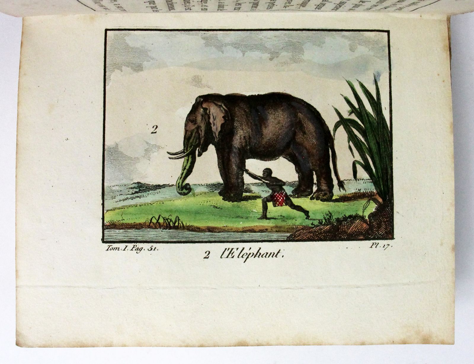 LA MNAGERIE ROYALE, -  image 8