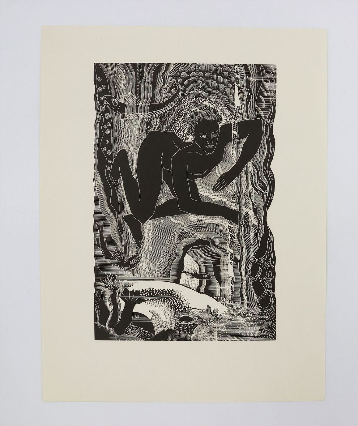 LEANDER PULLED DOWN -  image 1