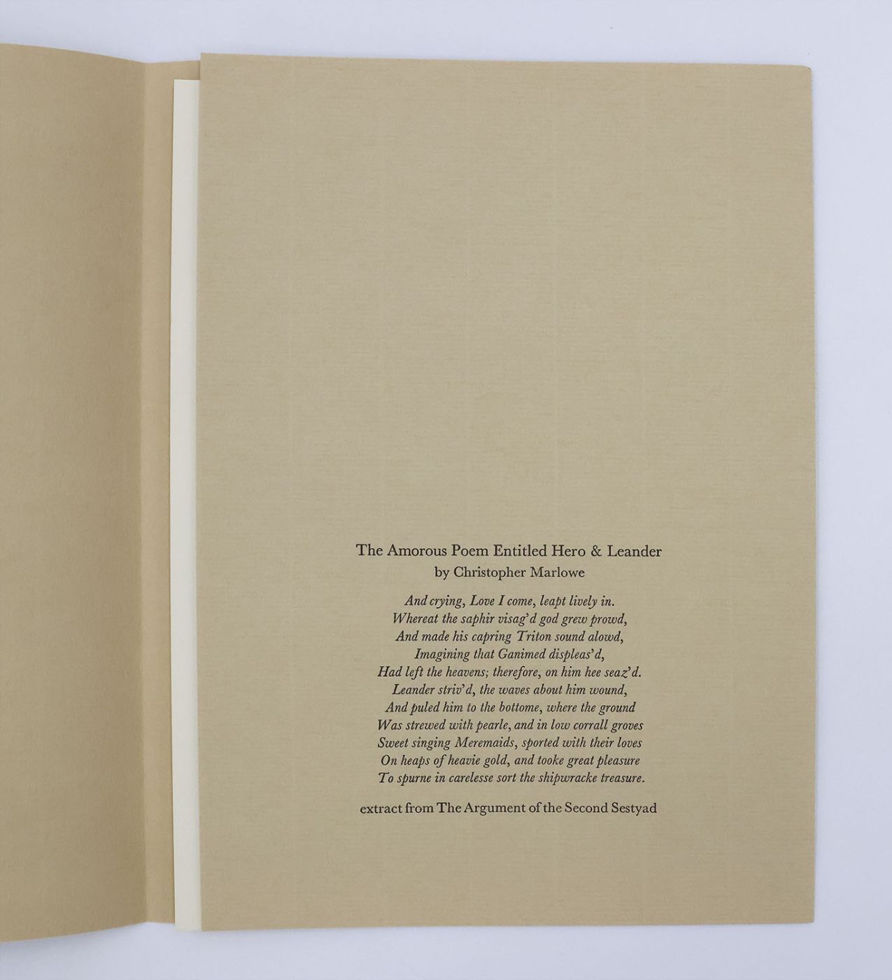 LEANDER PULLED DOWN -  image 3