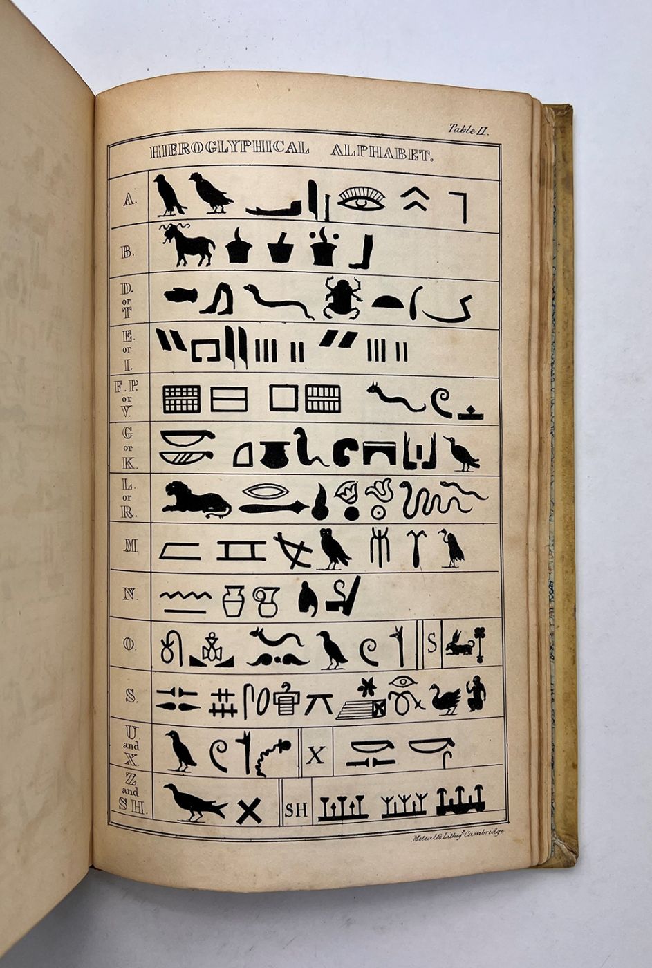 LECTURES ON ELEMENTS OF HIEROGLYPHICS AND EGYPTIAN ANTIQUITIES. -  image 6