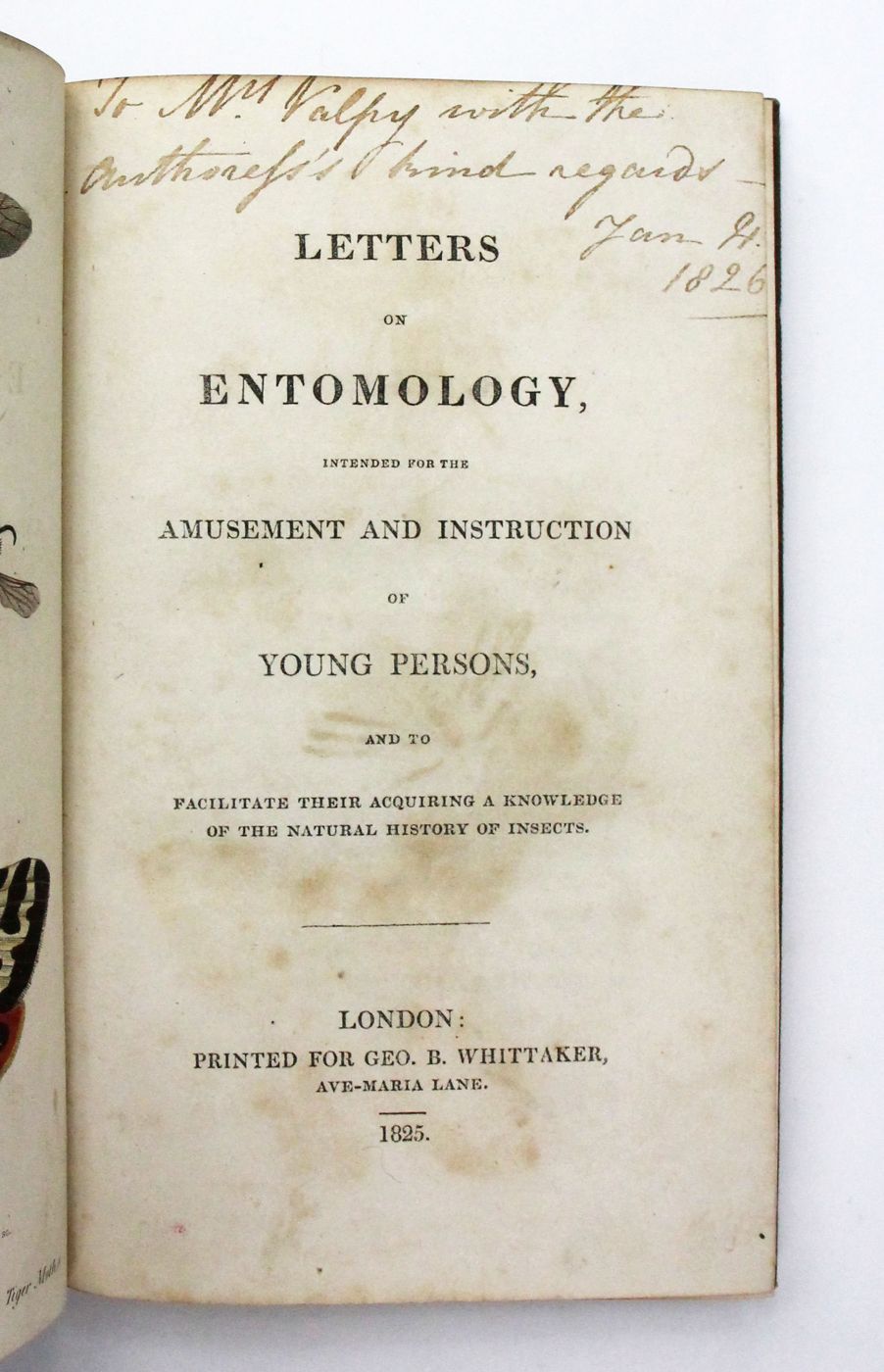 LETTERS ON ENTOMOLOGY, -  image 3