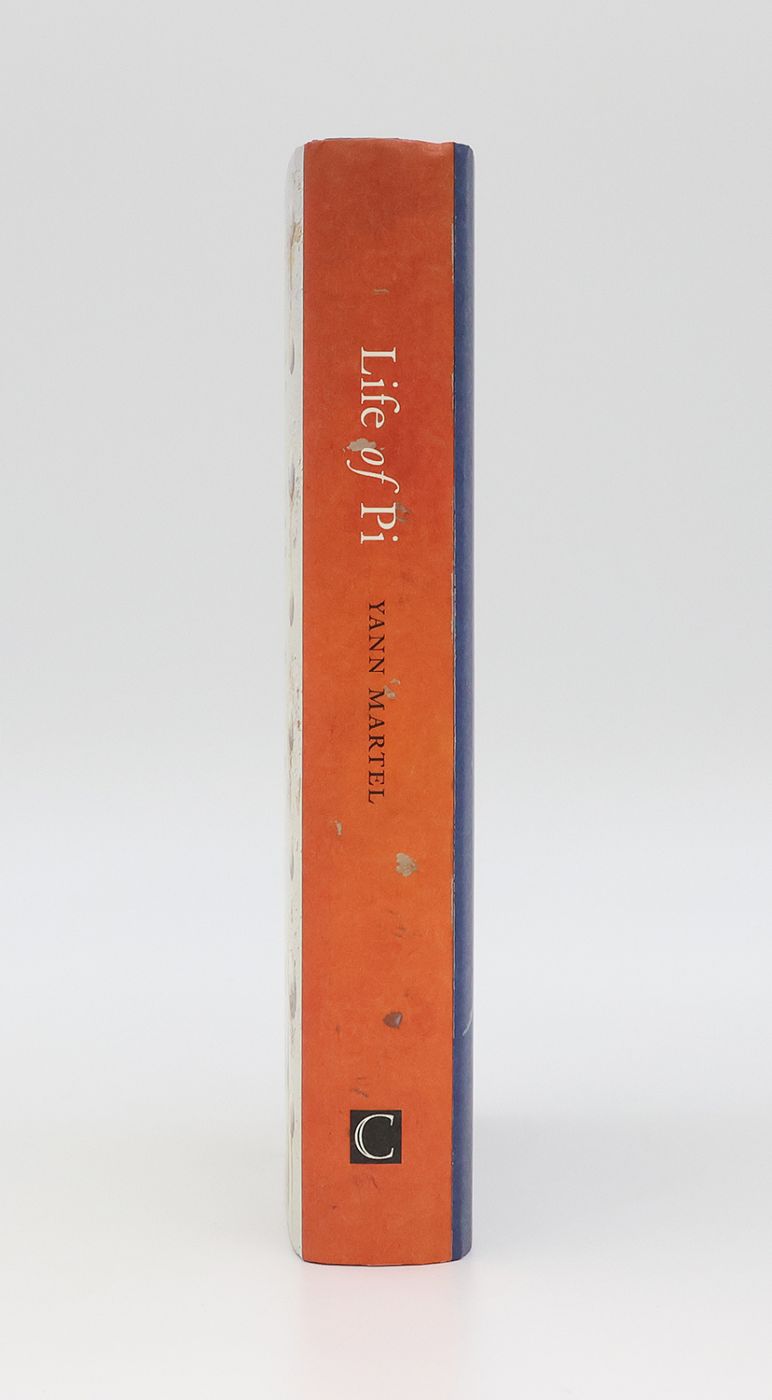 LIFE OF PI -  image 2
