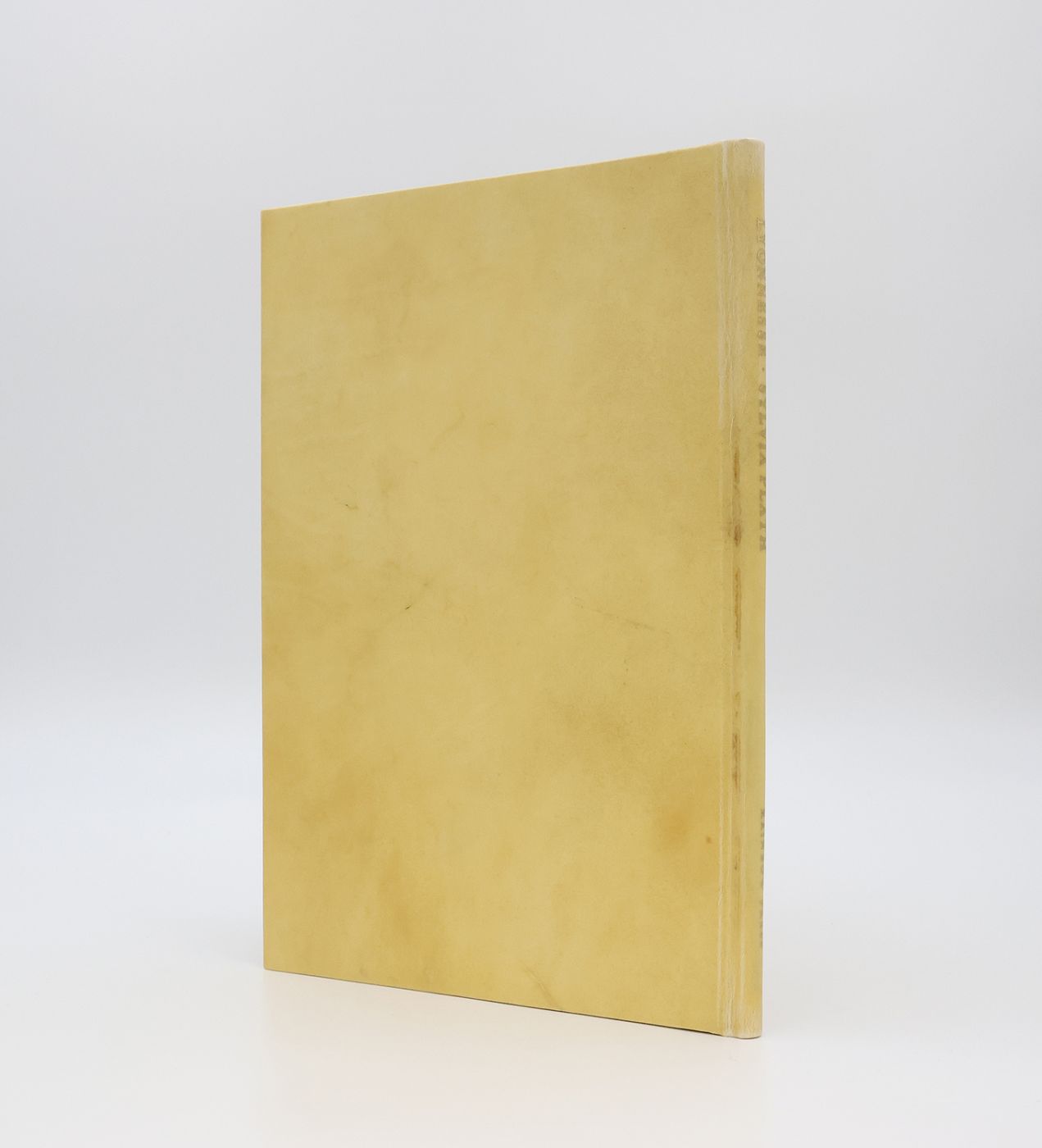 LYONNESSE: -  image 3