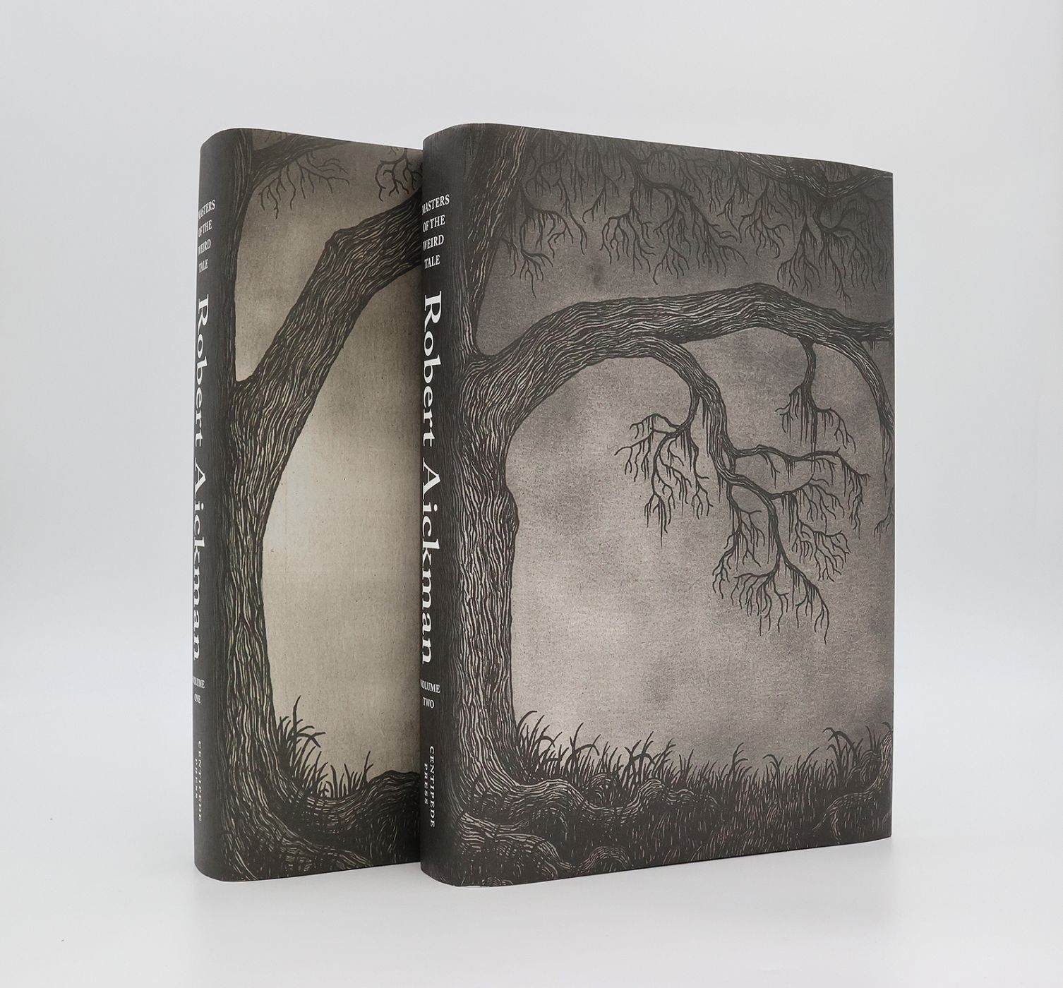 MASTERS OF THE WEIRD TALE: ROBERT AICKMAN -  image 2