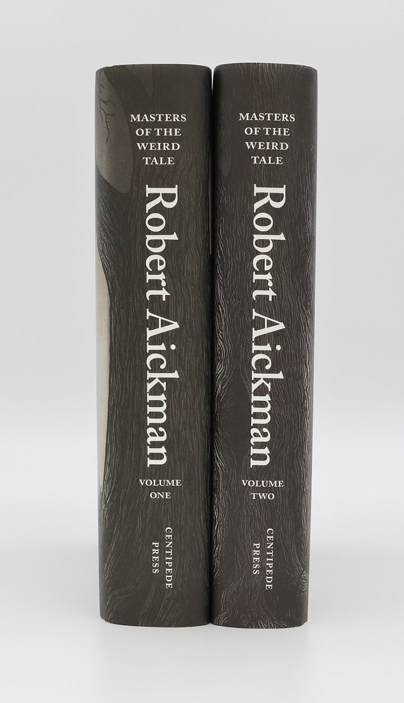 MASTERS OF THE WEIRD TALE: ROBERT AICKMAN -  image 3