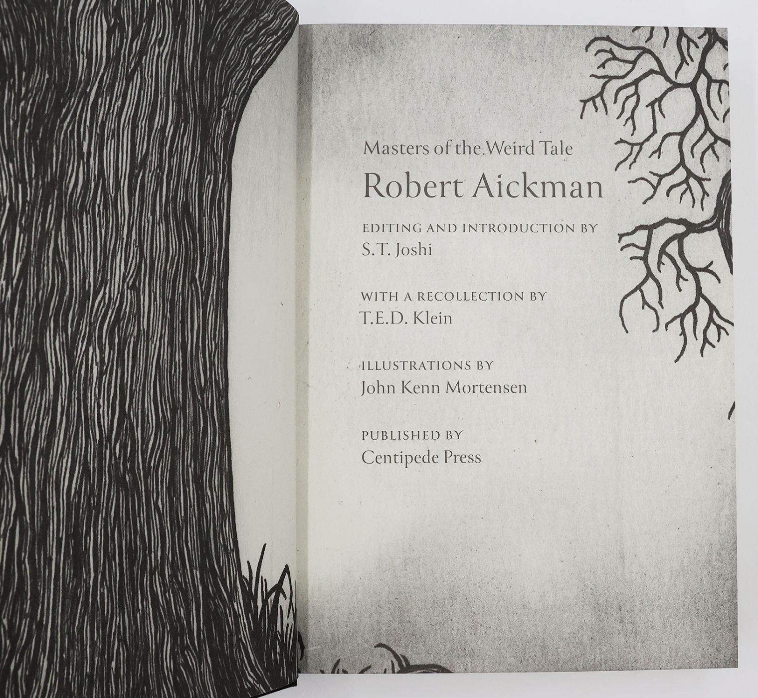 MASTERS OF THE WEIRD TALE: ROBERT AICKMAN -  image 5