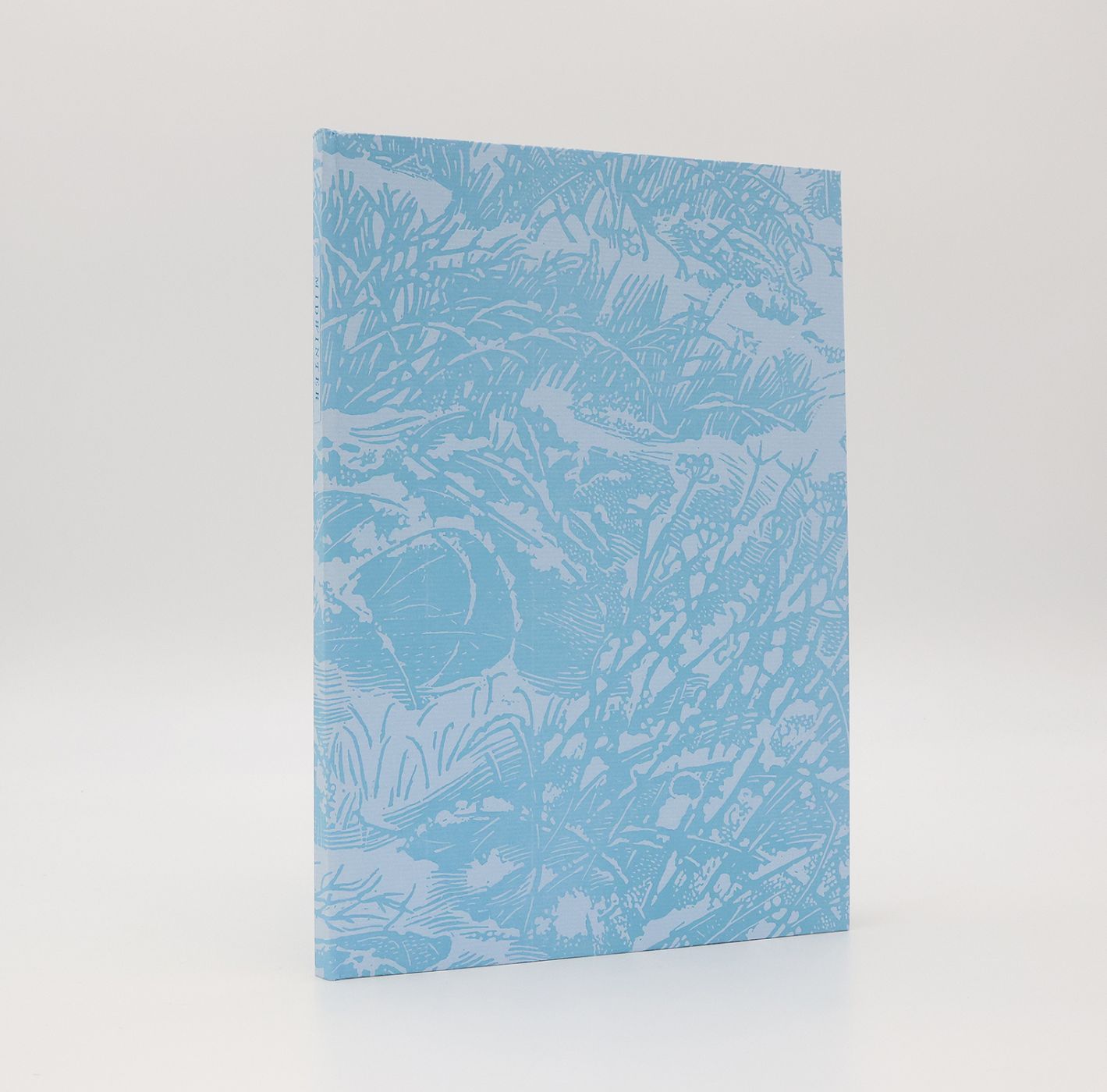 MIDWINTER -  image 2