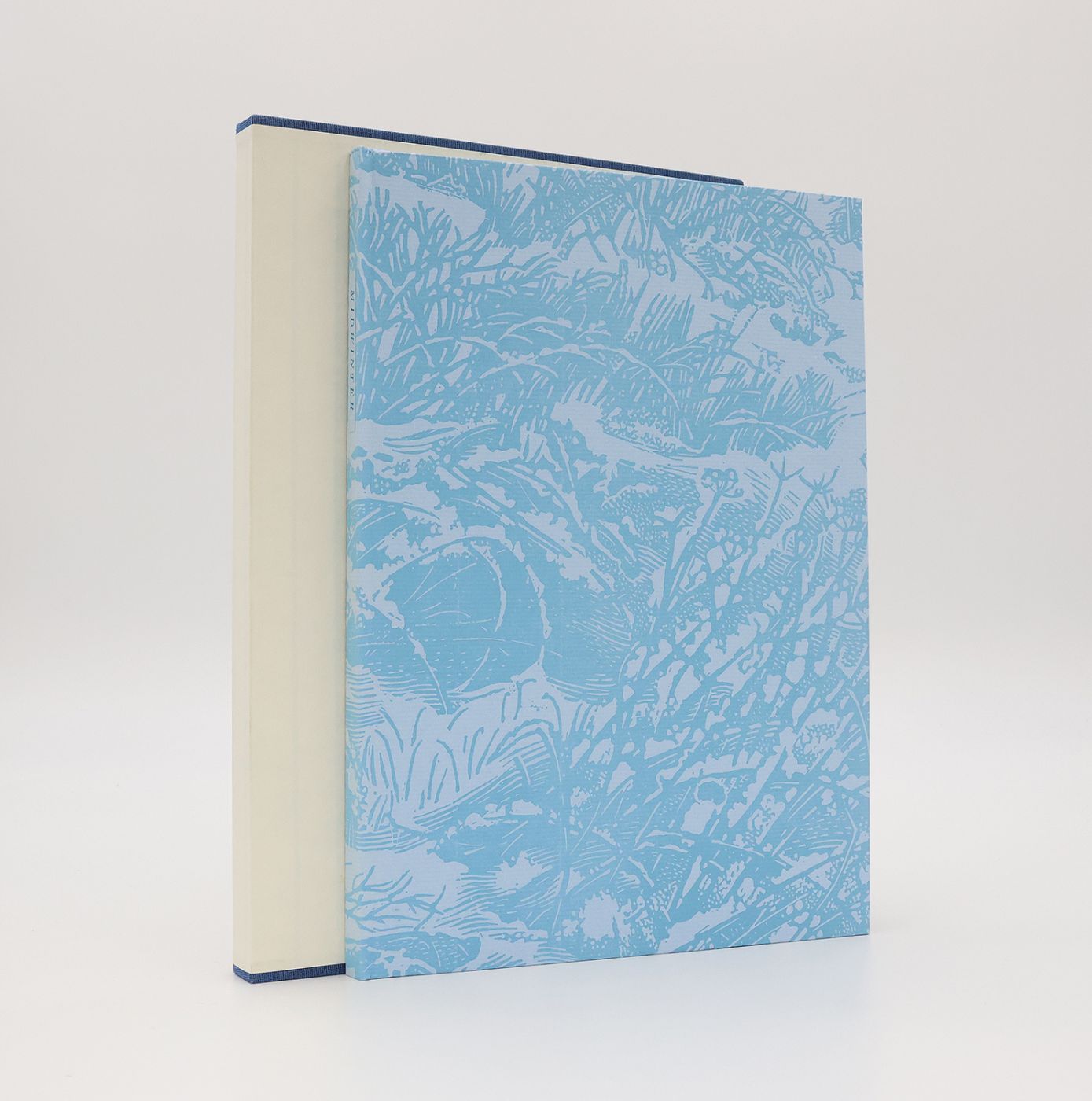 MIDWINTER -  image 1