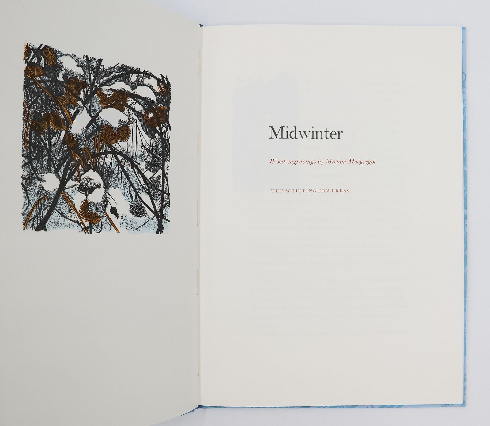 MIDWINTER -  image 3