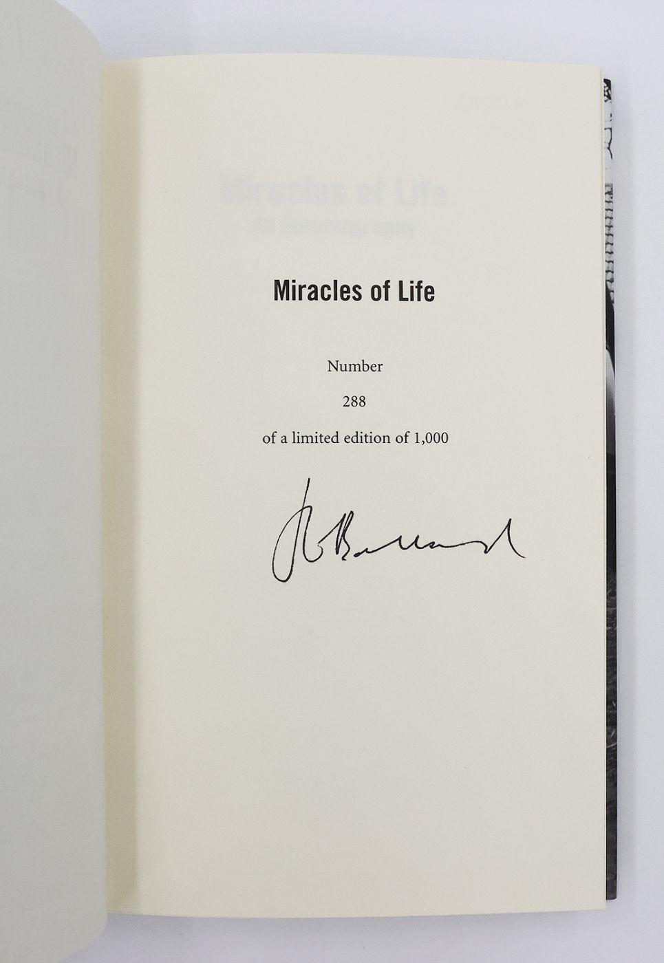 MIRACLES OF LIFE: SHANGHAI TO SHEPPERTON. -  image 4