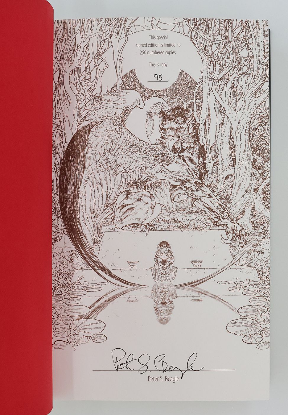 MIRROR KINGDOMS: -  image 2