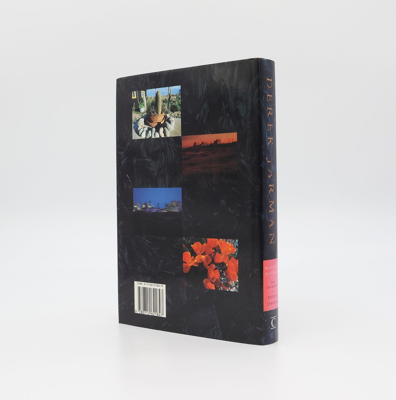 MODERN NATURE: -  image 3