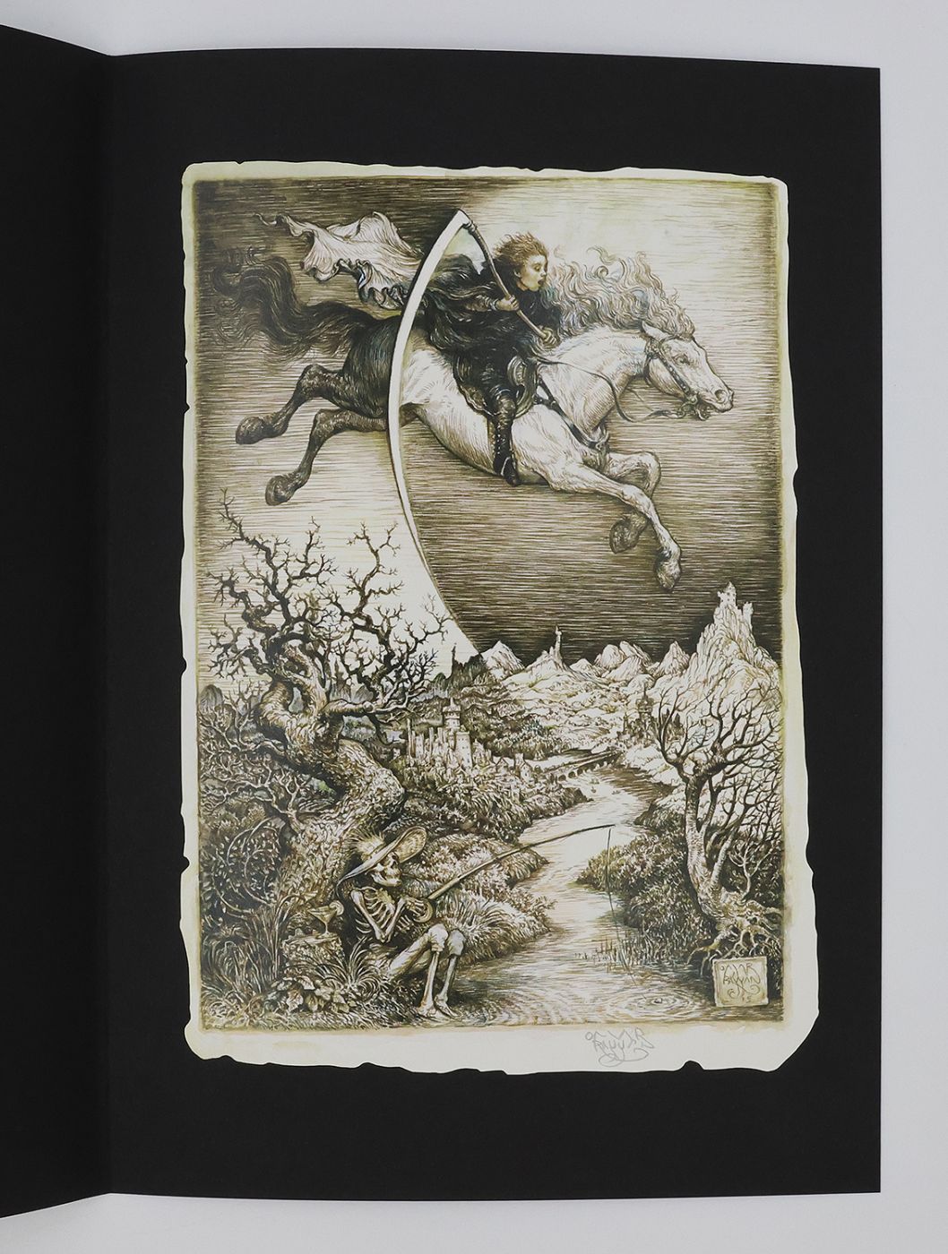 MORT -  image 8