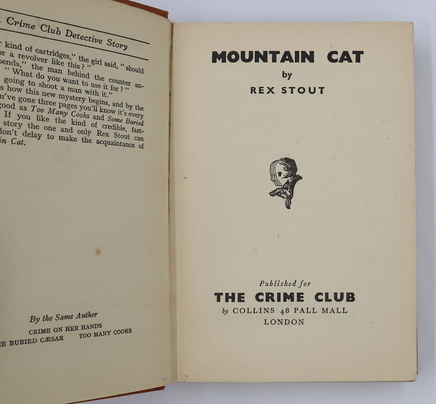 MOUNTAIN CAT -  image 2