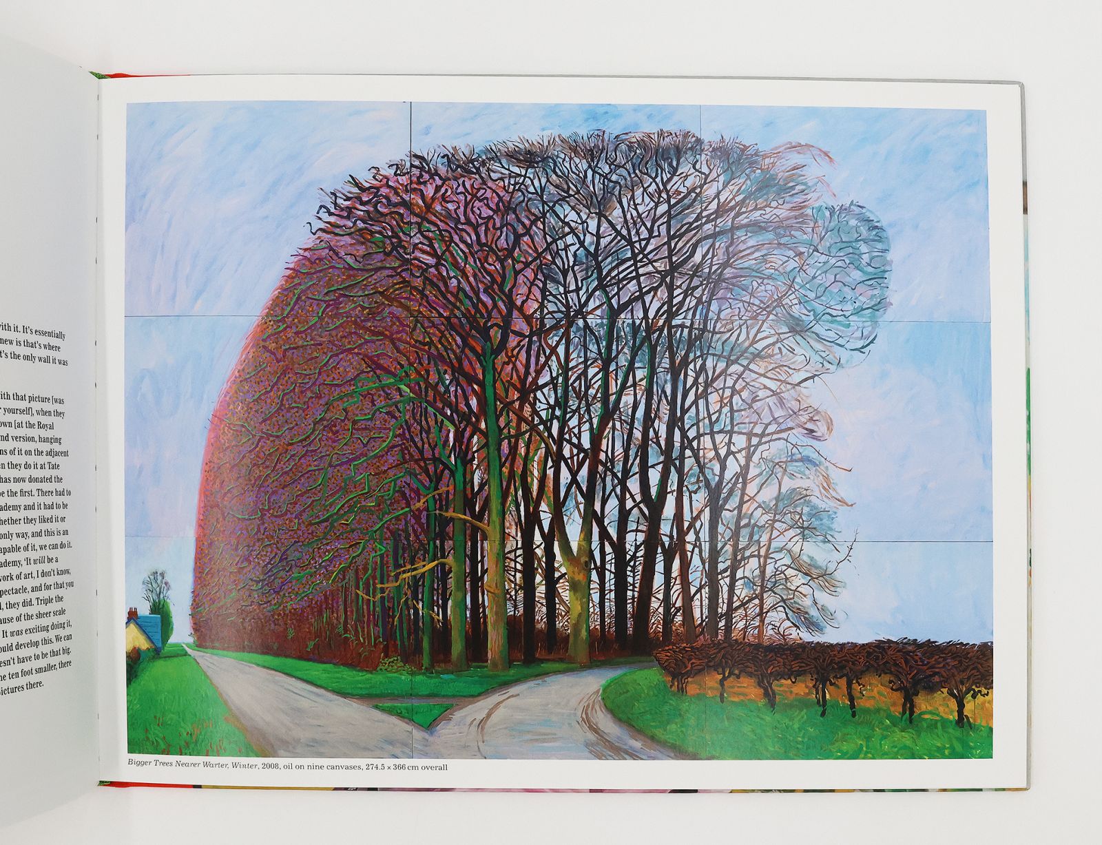 MY YORKSHIRE. -  image 4