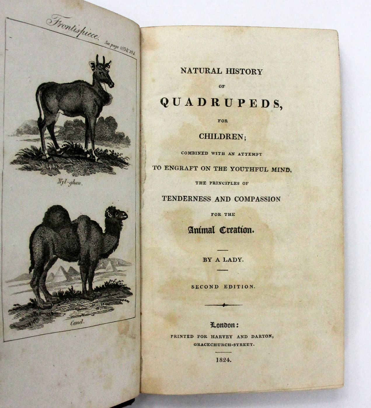 NATURAL HISTORY OF QUADRUPEDS, FOR CHILDREN: -  image 2