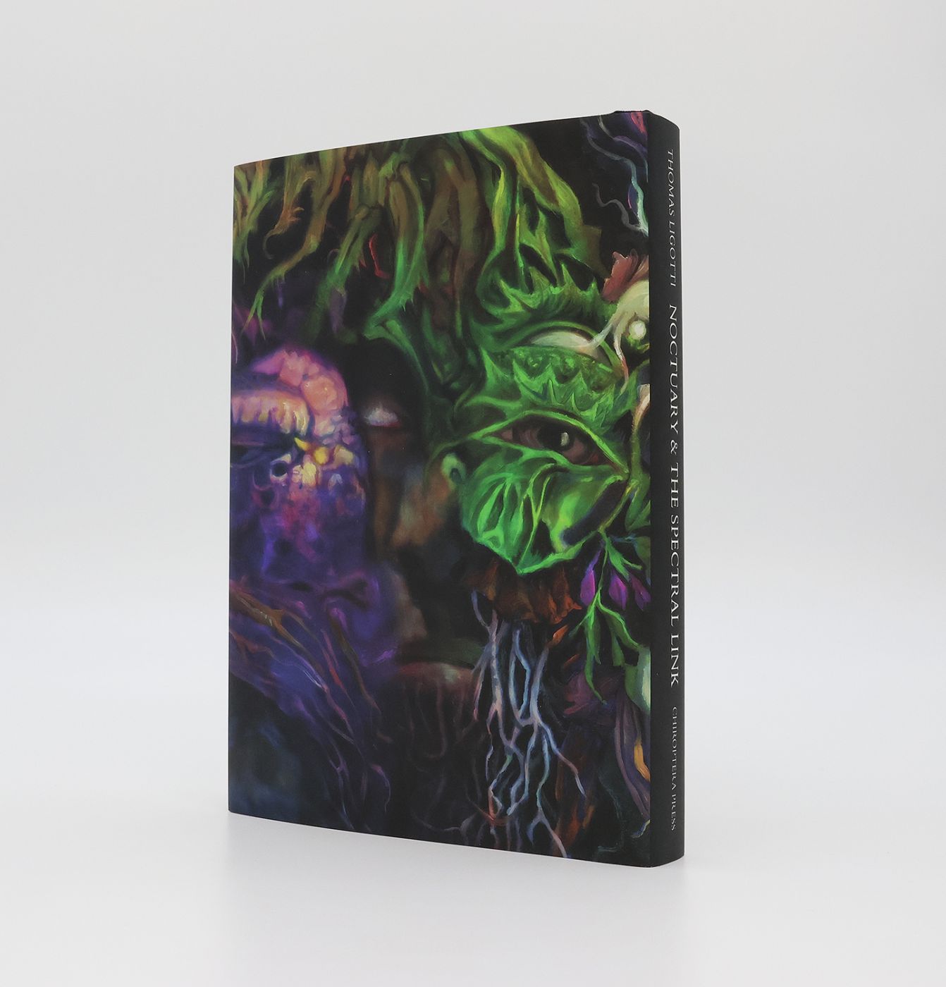 NOCTUARY AND THE SPECTRAL LINK -  image 2