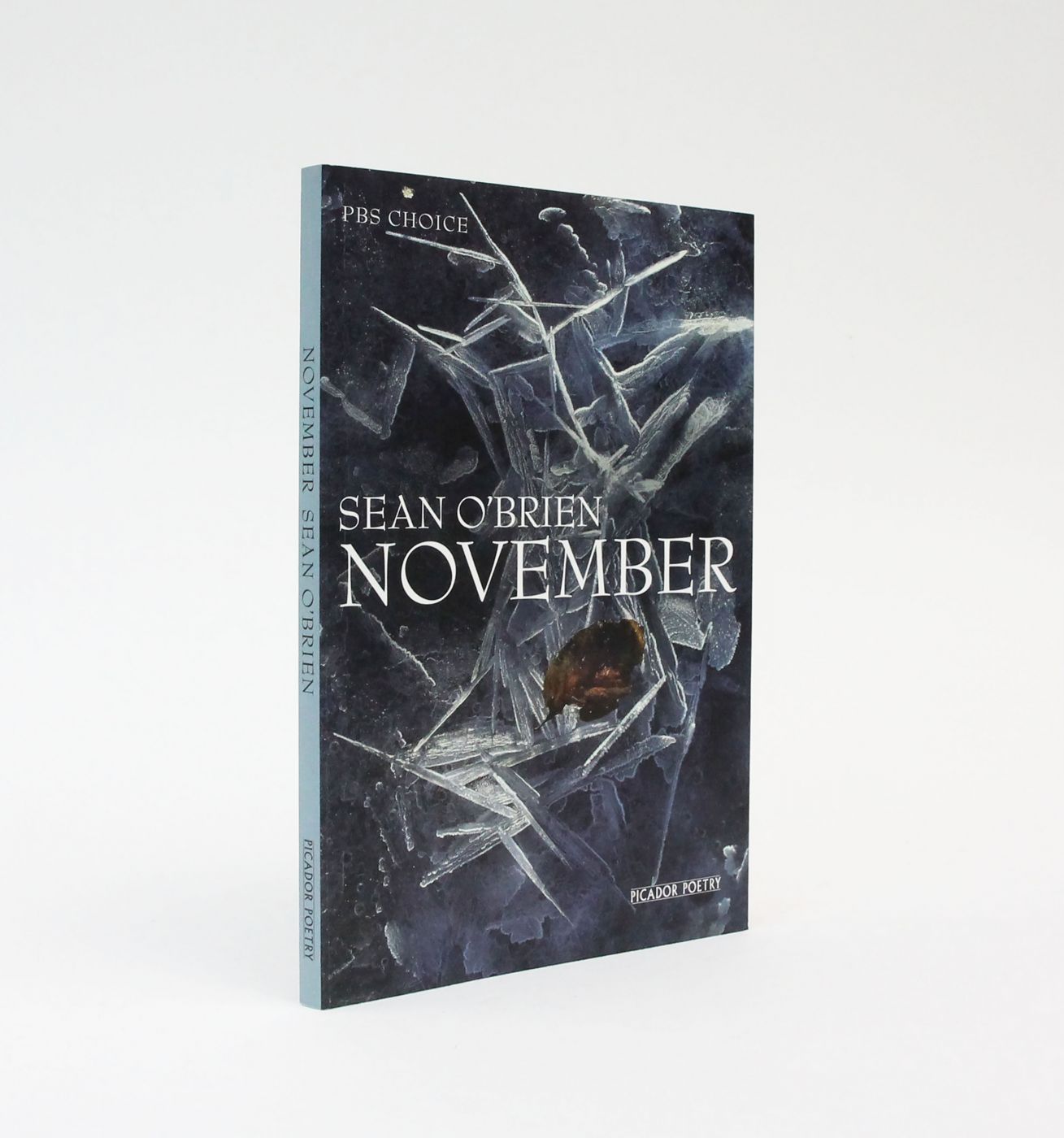 NOVEMBER -  image 1