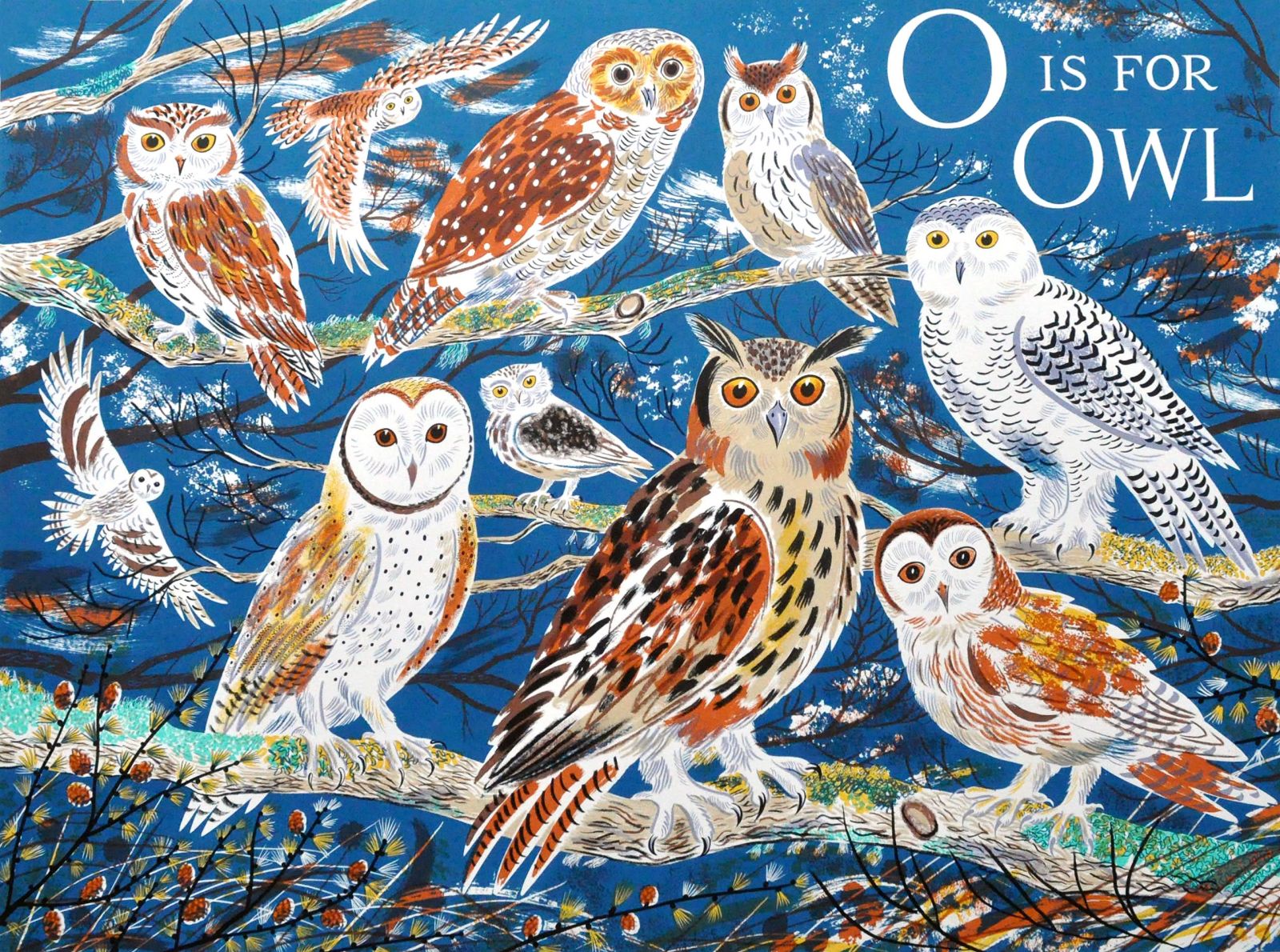 O IS FOR OWL. -  image 1