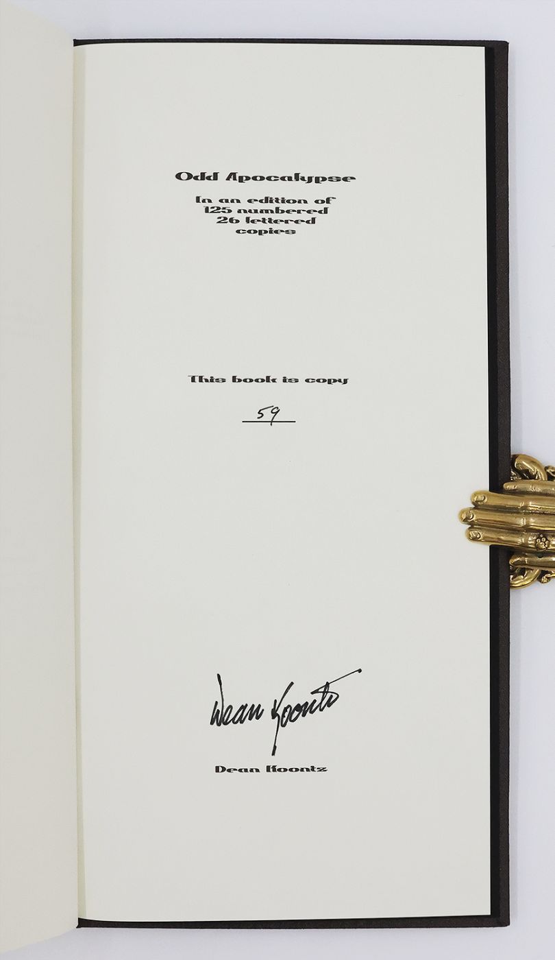 ODD APOCALYPSE -  image 3