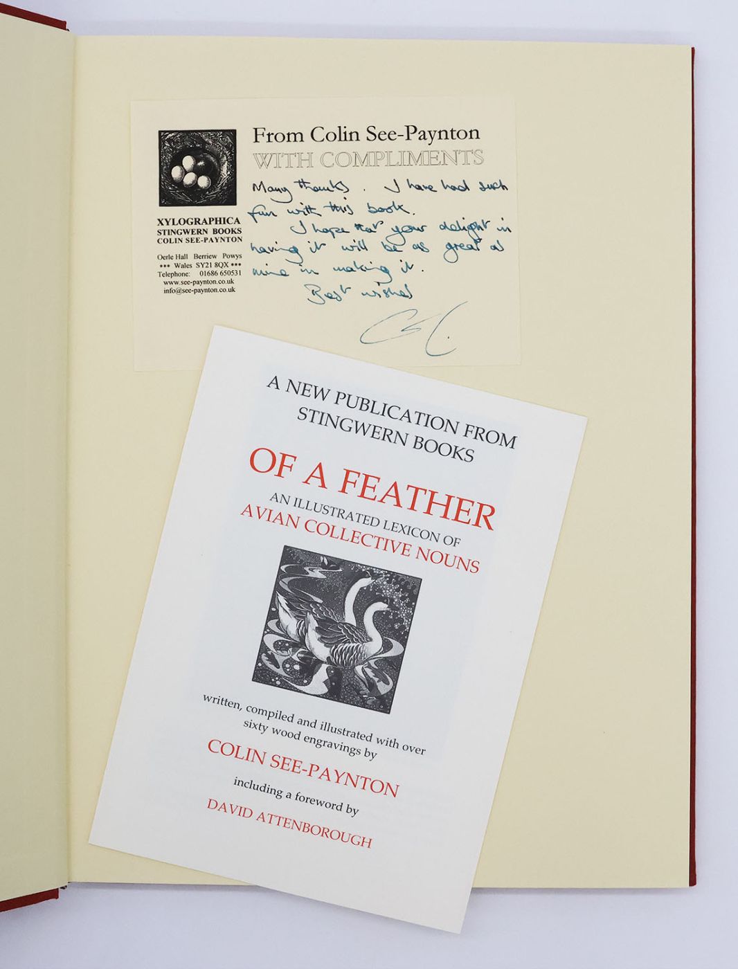 OF A FEATHER. -  image 3