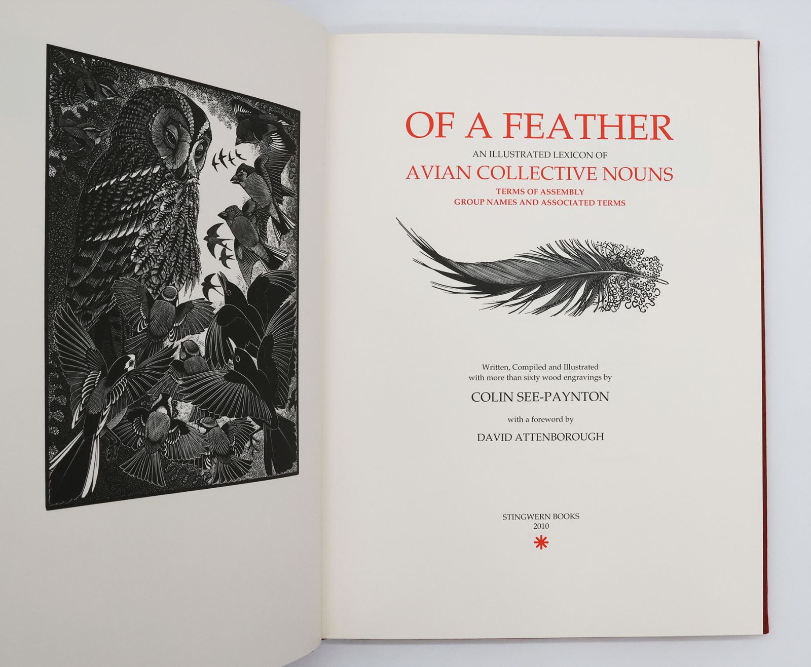 OF A FEATHER. -  image 4