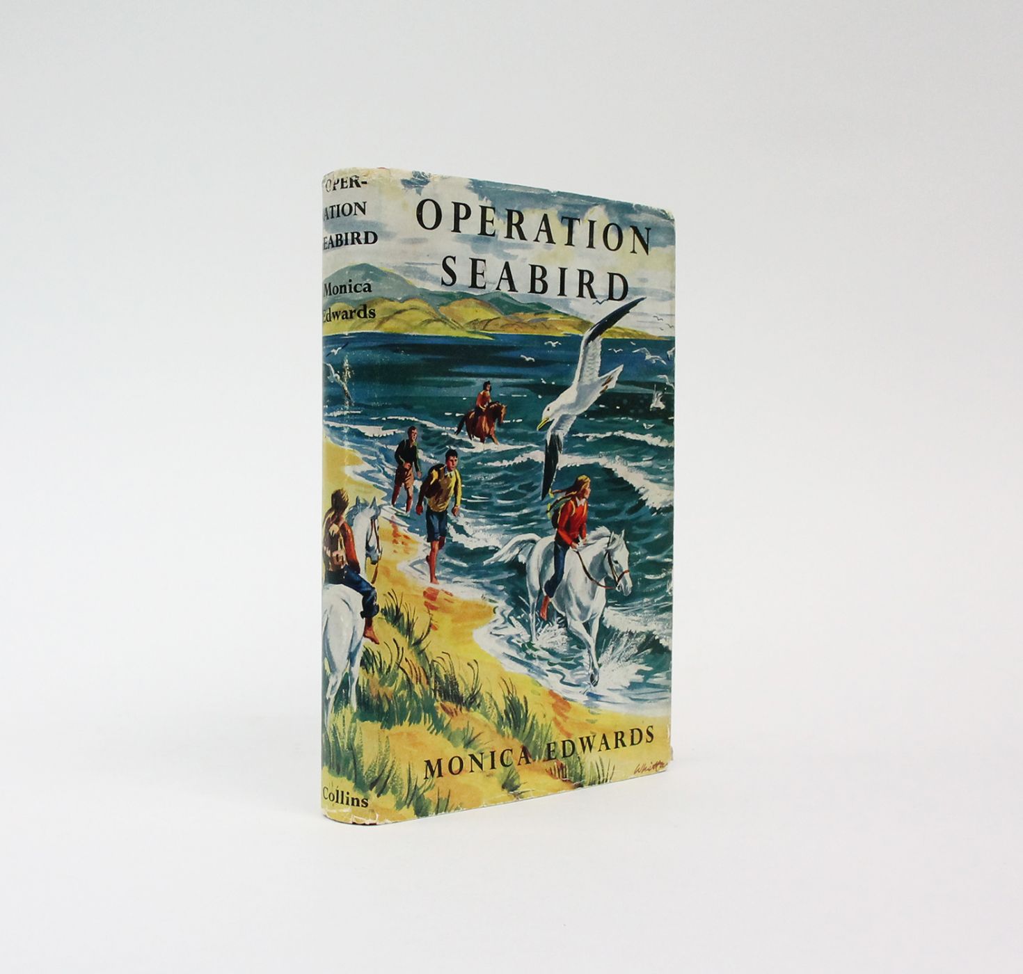 OPERATION SEABIRD -  image 1