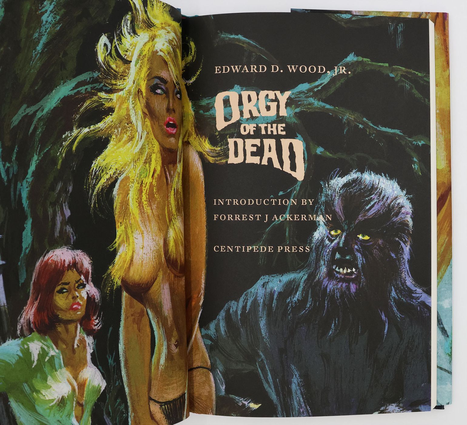 ORGY OF THE DEAD -  image 2
